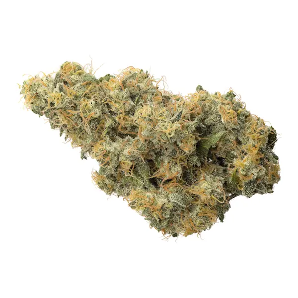Bud image for BC Organic Pure Cake Skunk, cannabis dried flower by Coast Mountain Cannabis