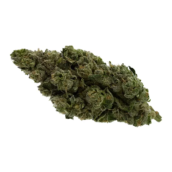 Product image for BC Thunder, Cannabis Flower by Thunder Spirit