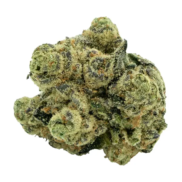 Bud image for BC Zaza, cannabis all categories by Burb