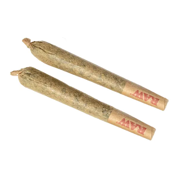 Product image for BC Zaza Pre-Rolls, Cannabis Flower by Burb