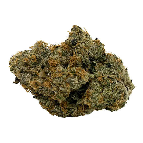 Bud image for Beach Crasher, cannabis all categories by Doja