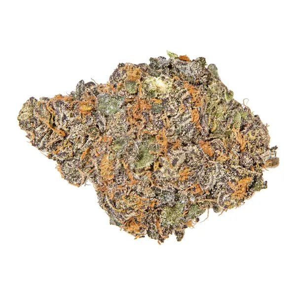 Bud image for Beaver Tail, cannabis all categories by Burb
