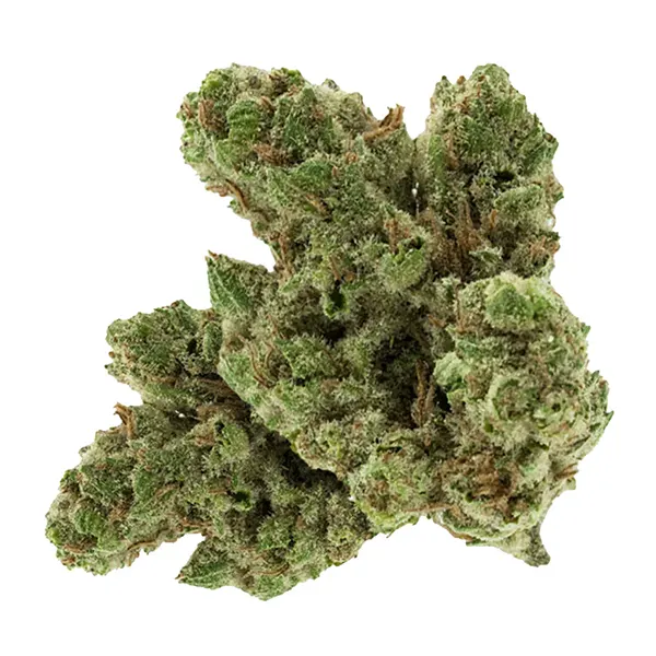 Product image for Beaver Tail, Cannabis Flower by Burb