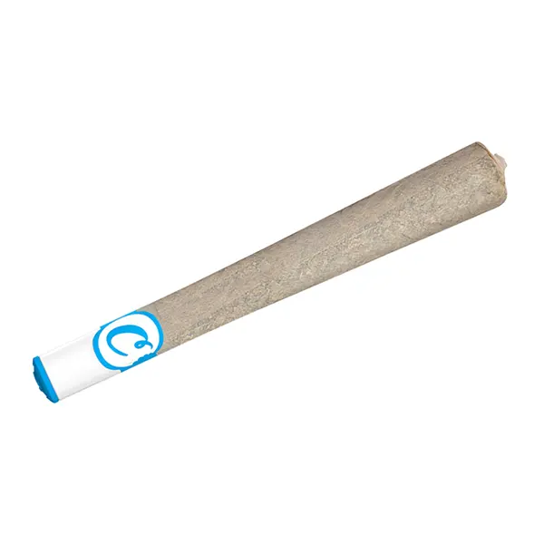 Image for BernieHana Butter Pre-Roll, cannabis pre-rolls by Cookies