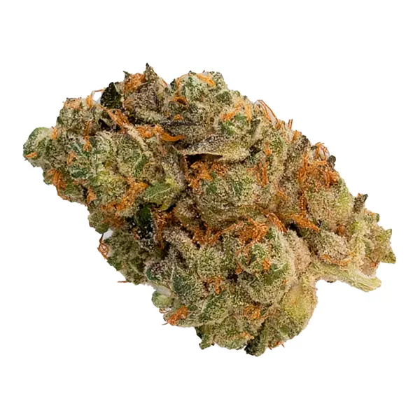 Bud image for Berry Smasher, cannabis all categories by Muskoka Grown