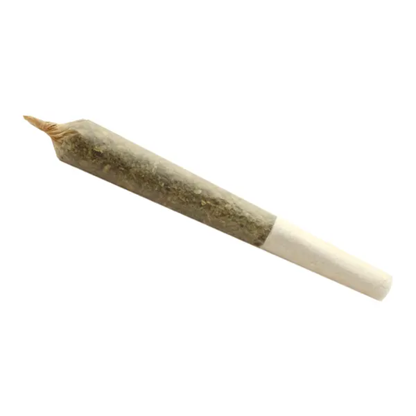 Product image for Big Buddy Indica Pre-Roll, Cannabis Flower by Buddy Blooms
