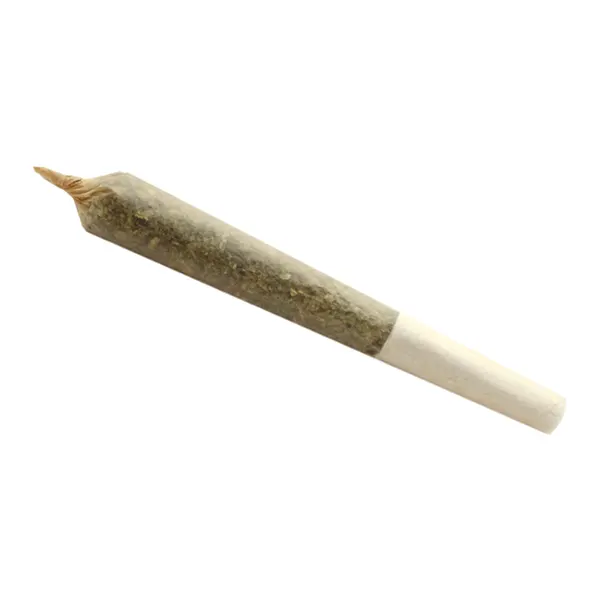 Big Buddy Indica Pre-Roll (Pre-Rolls) by Buddy Blooms