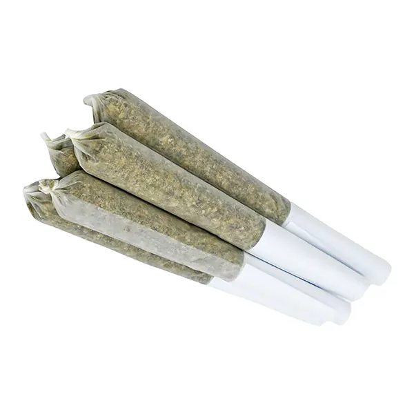 Big Terp Energy Pre-Roll (Pre-Rolls) by JR Strain