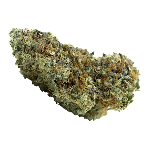 Bud image for Billy's Pheno, cannabis dried flower by Carmel