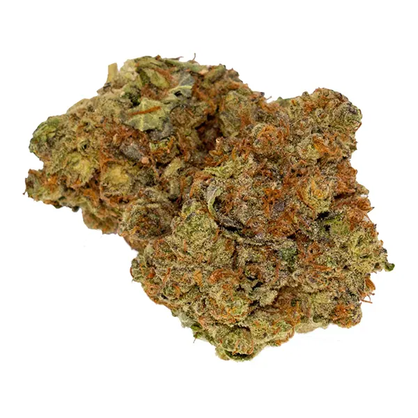  (Dried Flower) by Freedom Cannabis
