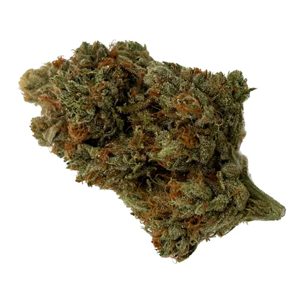 Bud image for Biscotti Hottie, cannabis dried flower by Erie Green