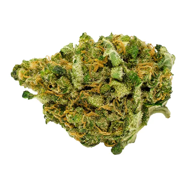 Bud image for Black Magic, cannabis dried flower by Smoke That Thunders