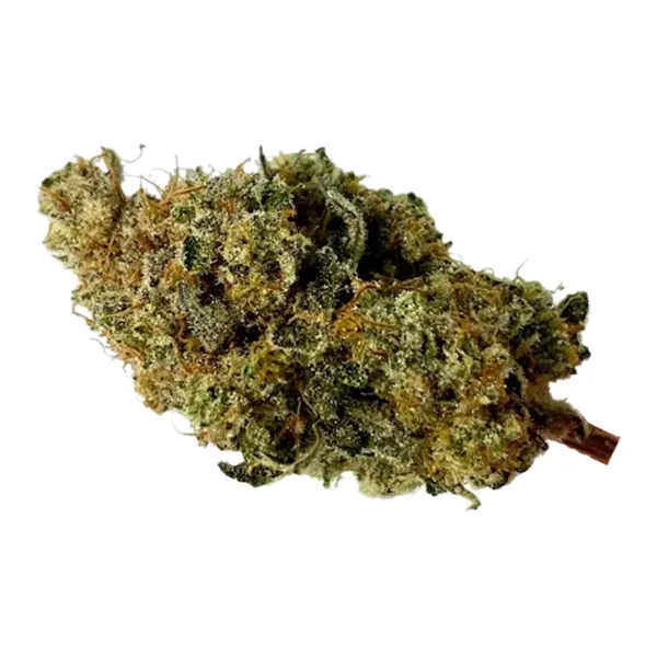 Bud image for Black Mamba, cannabis dried flower by Ritual Green