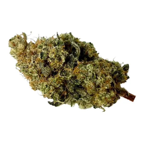 Bud image for Black Mamba, cannabis all categories by Ritual Green