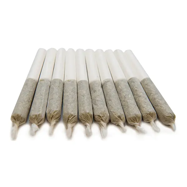 Black Sugar Rose Pre-Rolls (Pre-Rolls) by Color Cannabis