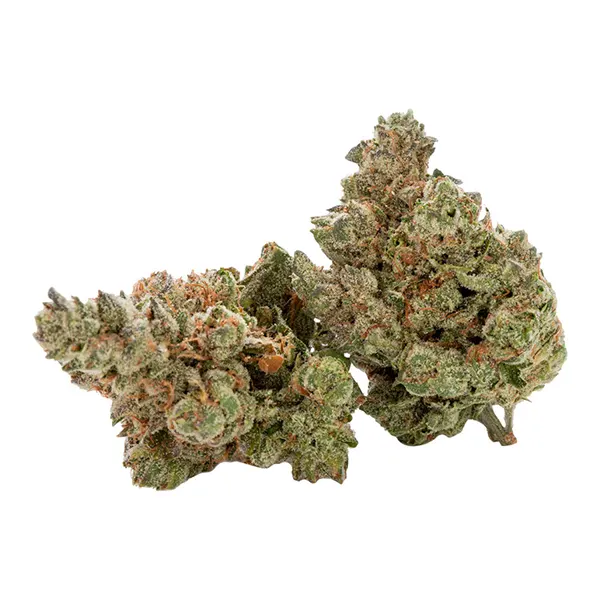 Bud image for Black Triangle, cannabis dried flower by Cactus