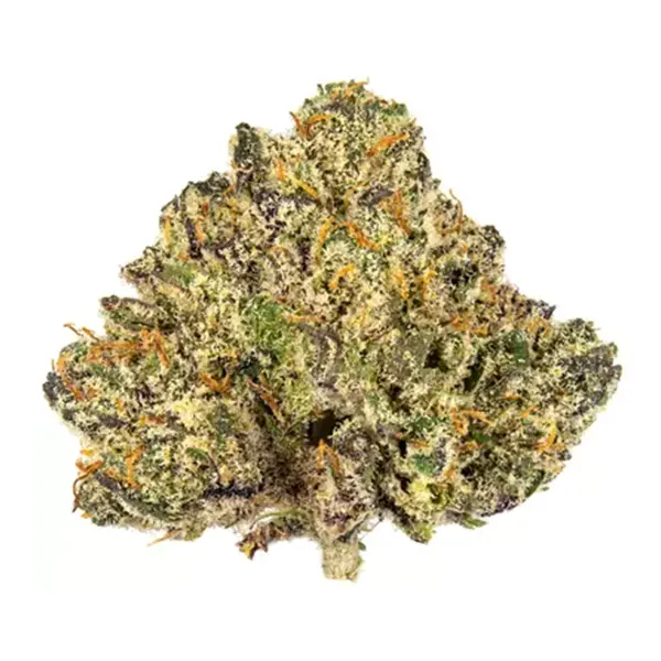 Bud image for Blackberry Cream, cannabis dried flower by Royal Cannabis Supply Co