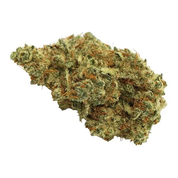 Bud image for Blackberry Gelato, cannabis dried flower by Wildlife Cannabis Co.