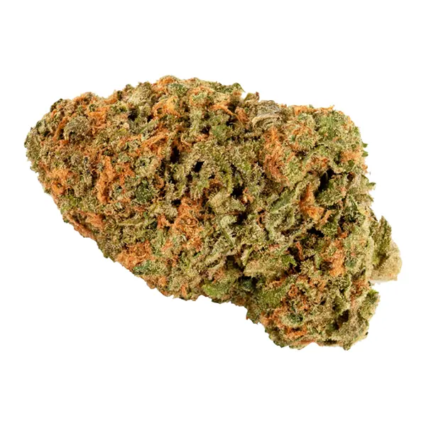 Bud image for Blockhead, cannabis dried flower by Wagners