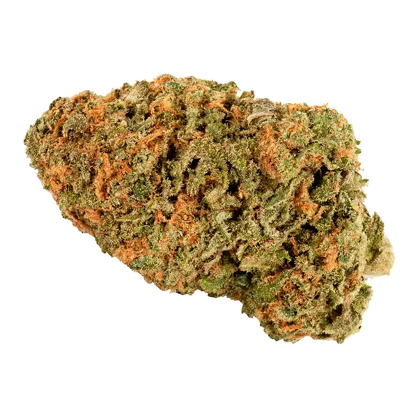 Bud image for Blockhead, cannabis all categories by Wagners