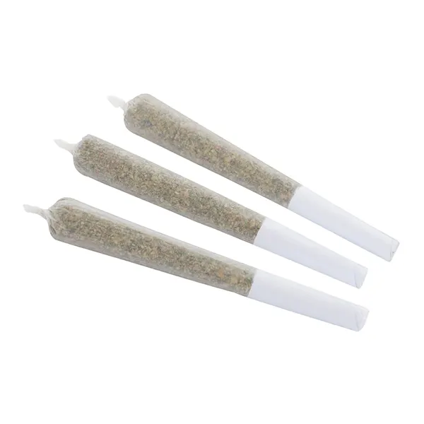 Blockhead Pre-Roll (Pre-Rolls) by Wagners