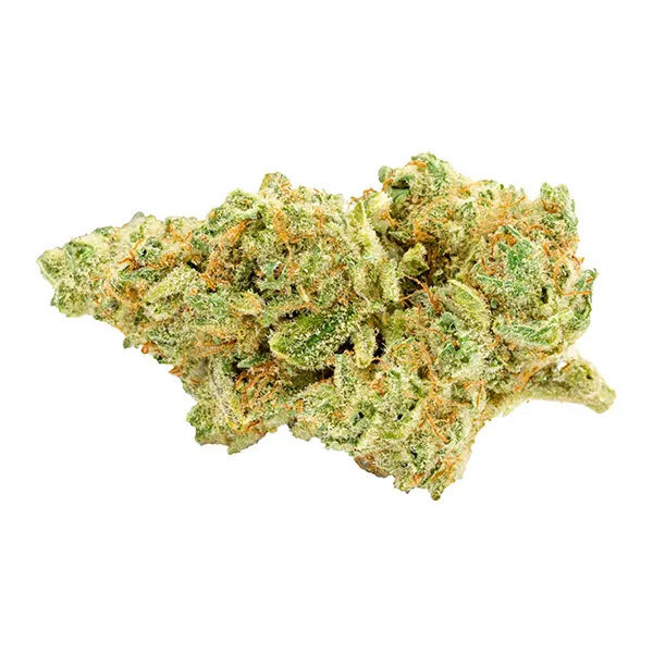 Bud image for Animal Face #10, cannabis dried flower by Bobs Better Buds