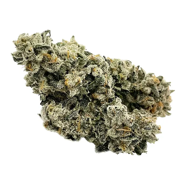 Astro Gas (Dried Flower) by The Drip