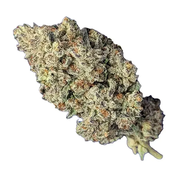 Bud image for Astro Pink, cannabis all products by Papa's Herb