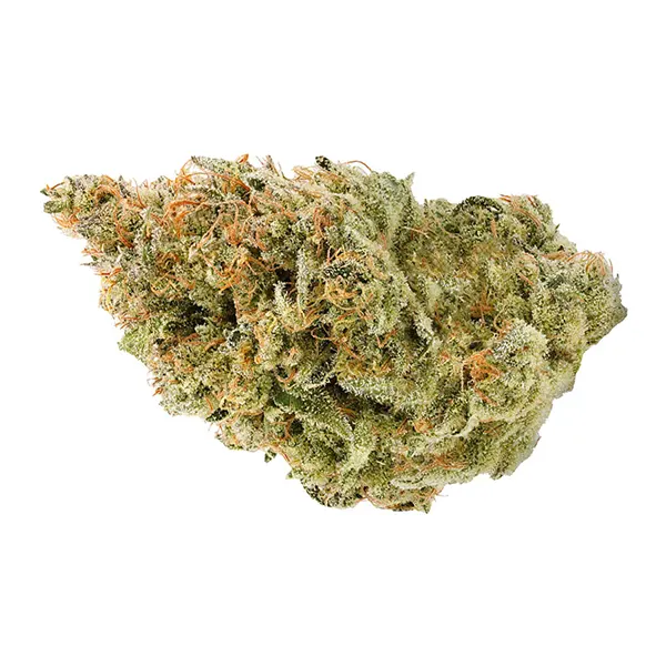 BC Organic Fruit Loopz (Dried Flower) by Simply Bare