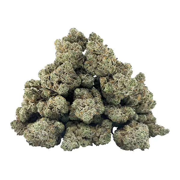 Blackberry Sour