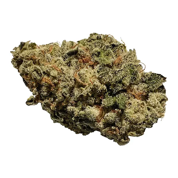 Blue Cheese