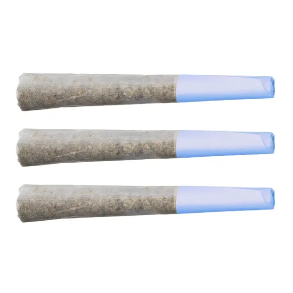 Image for Blueberry Burst Pre-Roll, cannabis all products by Terp Gush