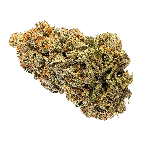 Booberry Cookies (Dried Flower) by Bud Lafleur