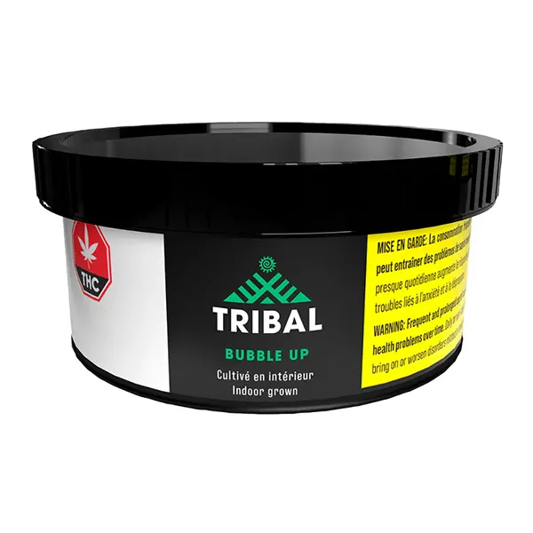 Image for Bubble Up, cannabis all products by Tribal