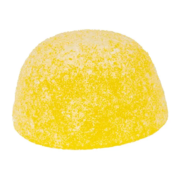 Neon Rush Gummy (Gummies) by Versus