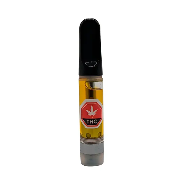 Vanilla Bean ICC..
