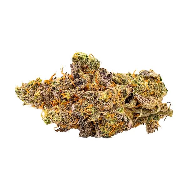Mint Chocolate Chip (Dried Flower) by Sweetgrass