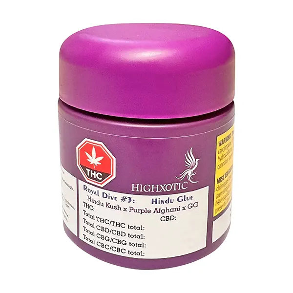 Image for Royal Dive#3: Hindu Glue, cannabis all products by HighXotic