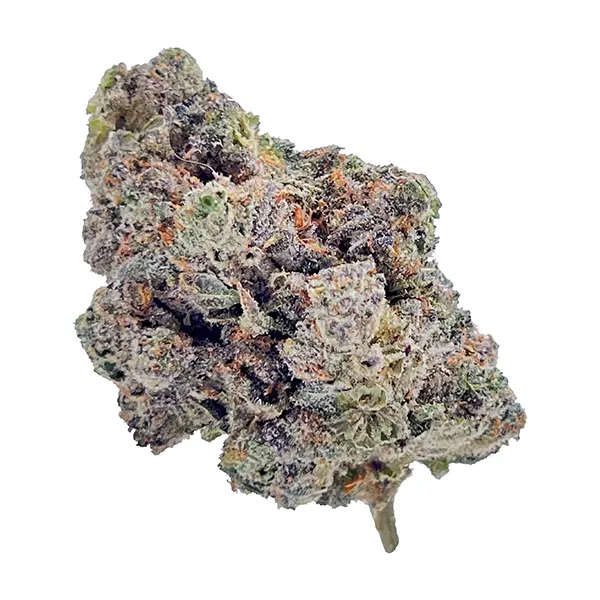 Bud image for Royal Dive#4: Goofiez, cannabis all products by HighXotic