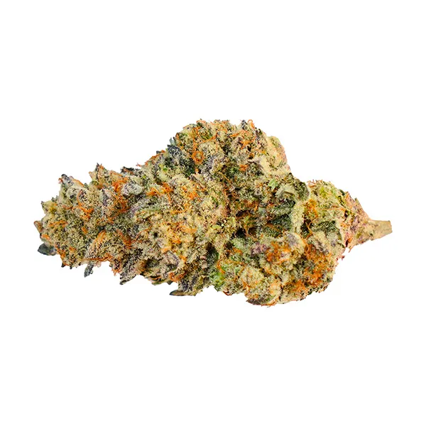 Donny Burger (Dried Flower) by Your Dealer