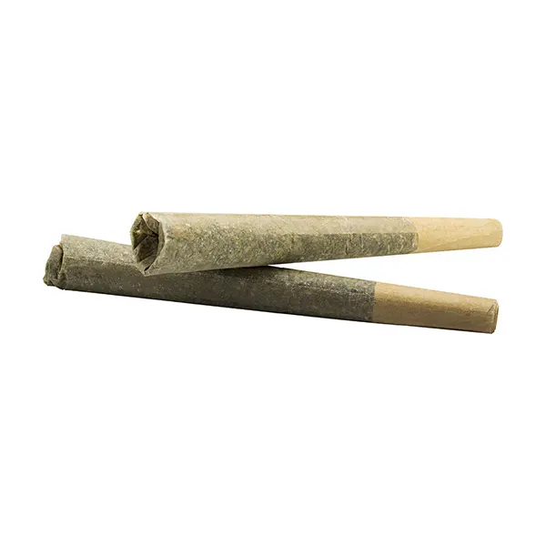 Gas Plant Pre-Roll (Pre-Rolls) by Endgame