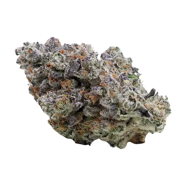 Bud image for Cosmic Cherry, cannabis all products by Valhalla Flwr