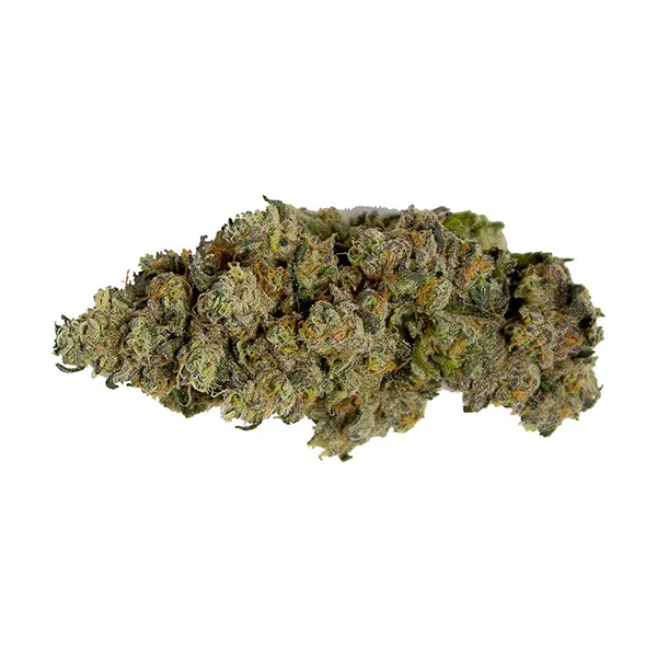 Bud image for Lemon Pepper Punch, cannabis all products by Green Joy