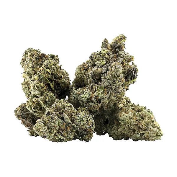 Bud image for Galactica OG, cannabis dried flower by DEALR