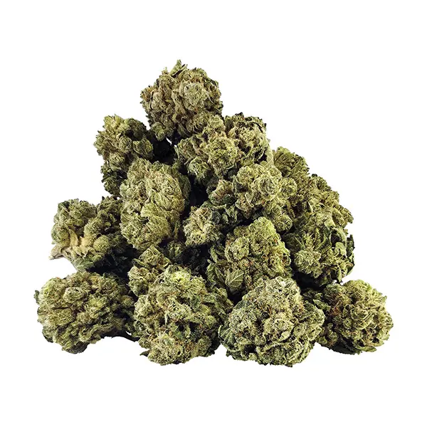 Bud image for Guava Trainwreck, cannabis dried flower by BC OZ