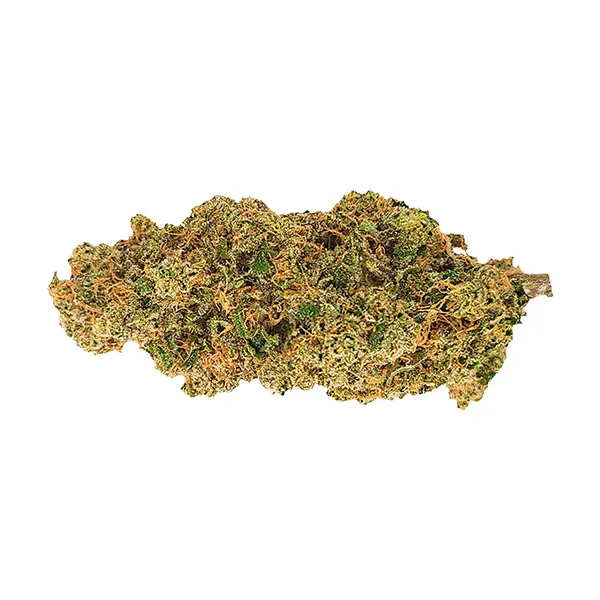 Bud image for Roadkill Skunk, cannabis dried flower by Mendo Select