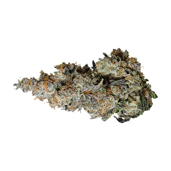 Triple Burger (Dried Flower) by Tribal