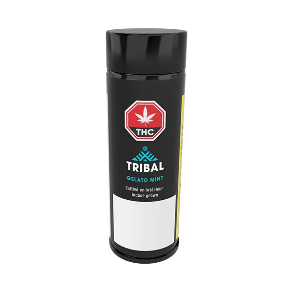 Gelato Mint Pre-Roll (Pre-Rolls) by Tribal