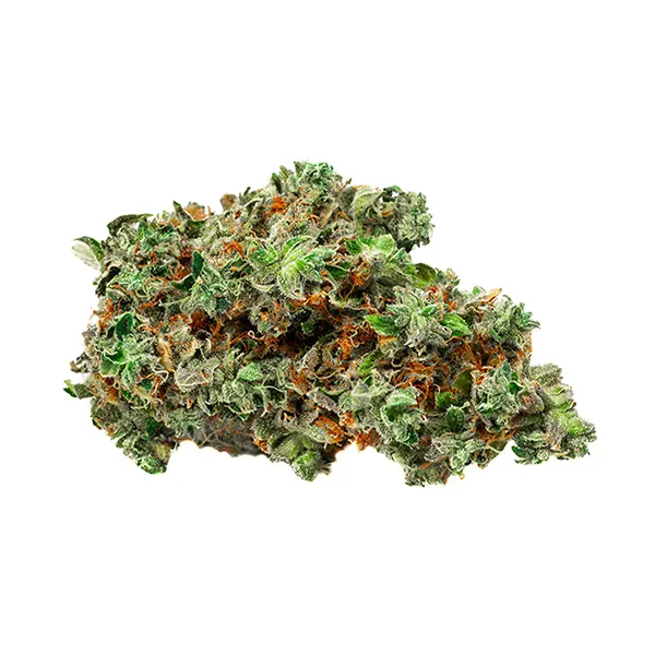 Bud image for Root Beer Float, cannabis all products by BOLD