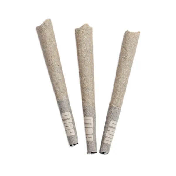 Image for Root Beer Float Pre-Roll, cannabis all products by BOLD